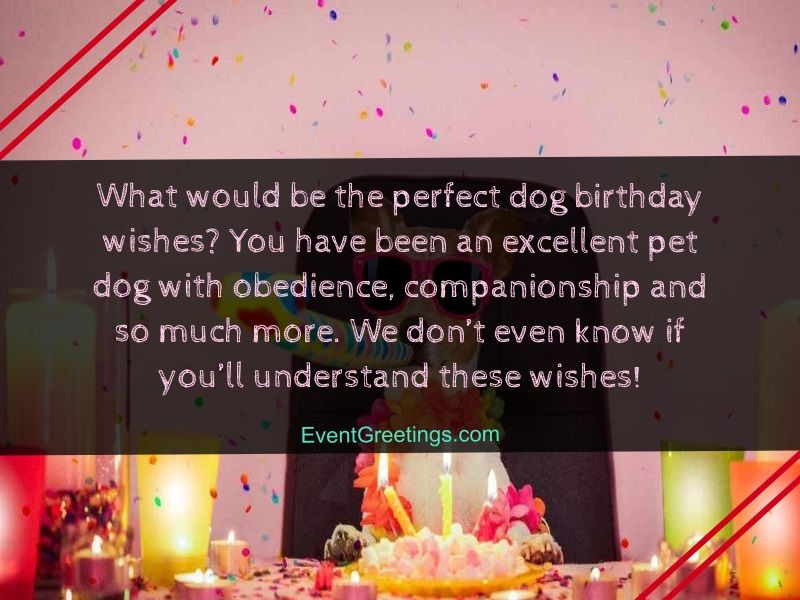Dog Birthday Wishes 