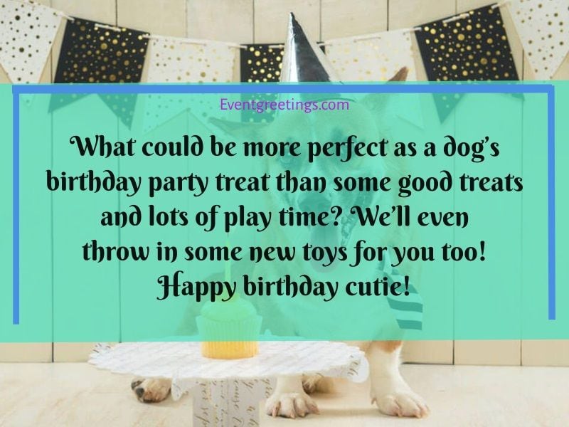 Dog Birthday Wishes 