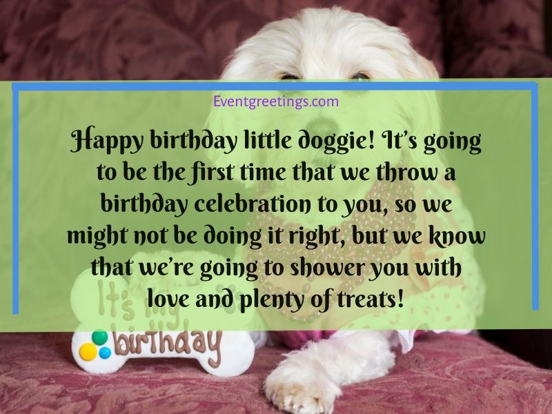 Happy Birthday Dog Funny