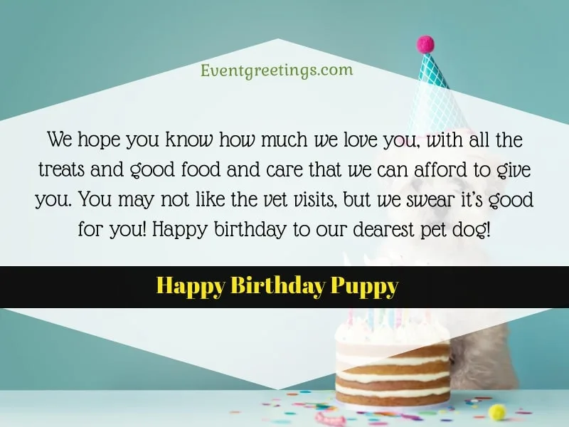 happy-birthday-dog-images