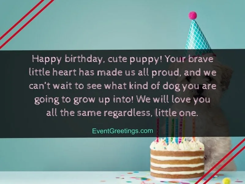 Happy Birthday Puppy