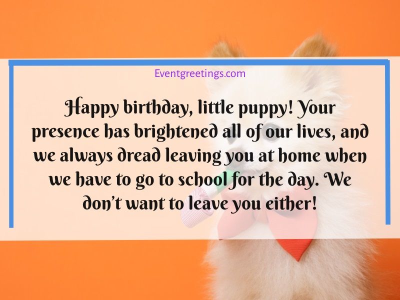 Happy Birthday Dog Images