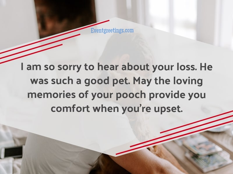 Condolences Quotes for Loss of Pet