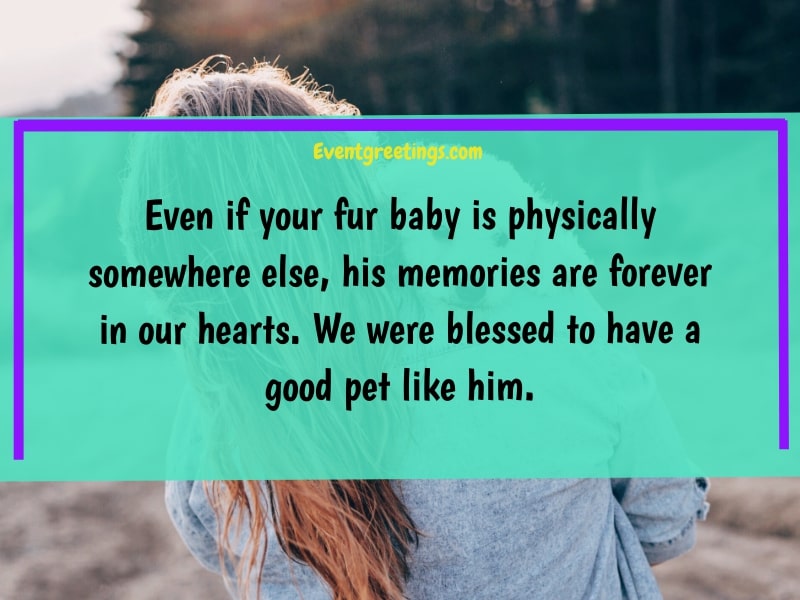 Condolences for Loss of Pet Quotes