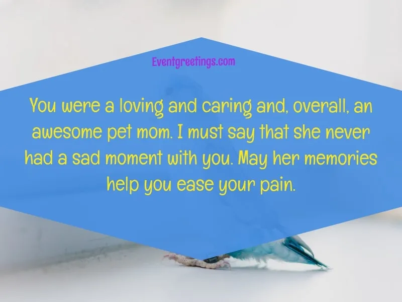 Sympathy quotes for Pet Loss 
