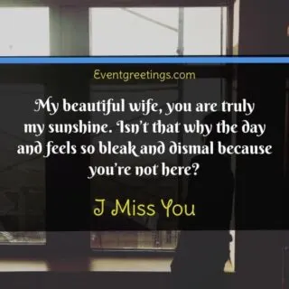 I miss my wife quotes