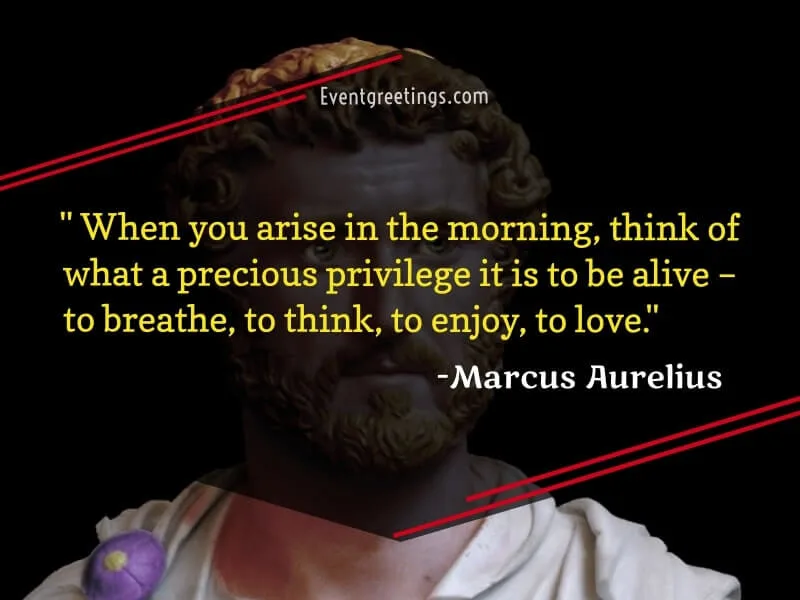 Marcus Aurelius Quotes on Love