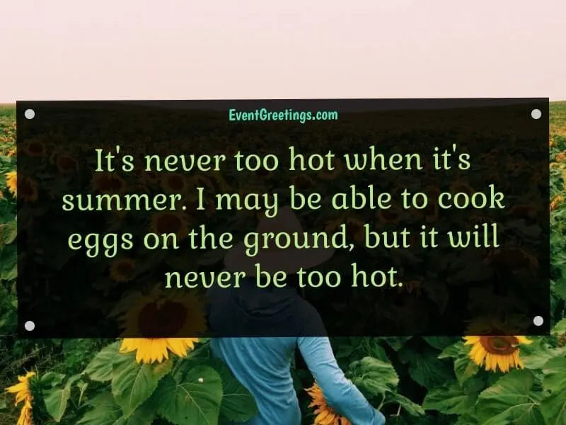 funny summer quotes 