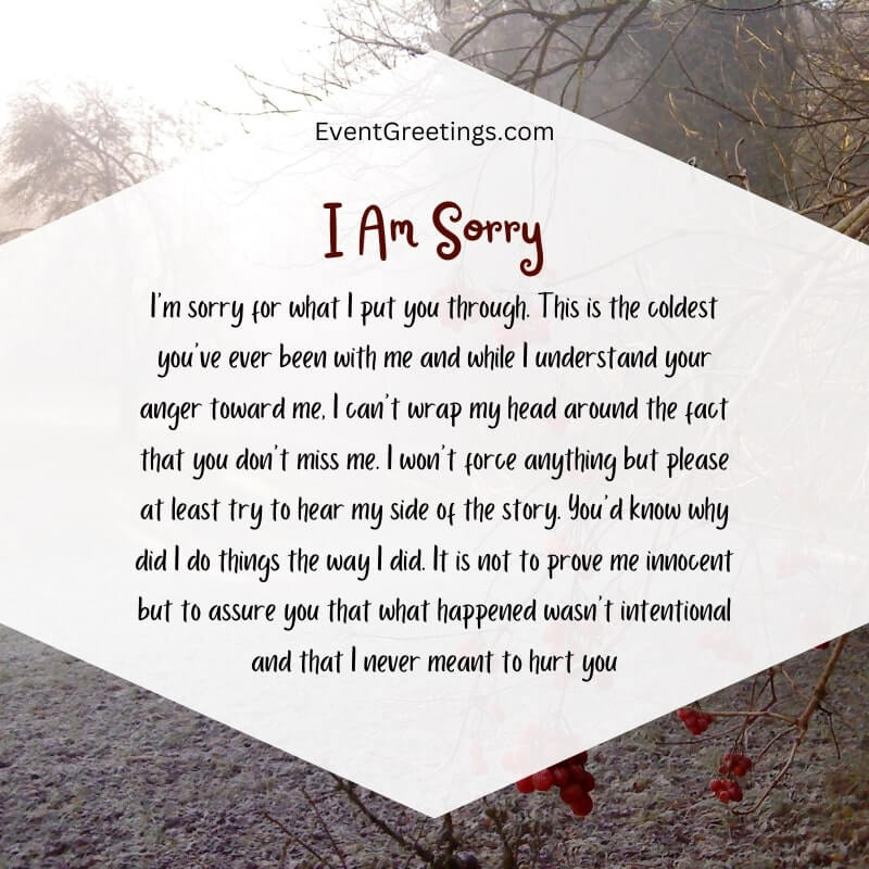 Long Apology Paragraph For Him