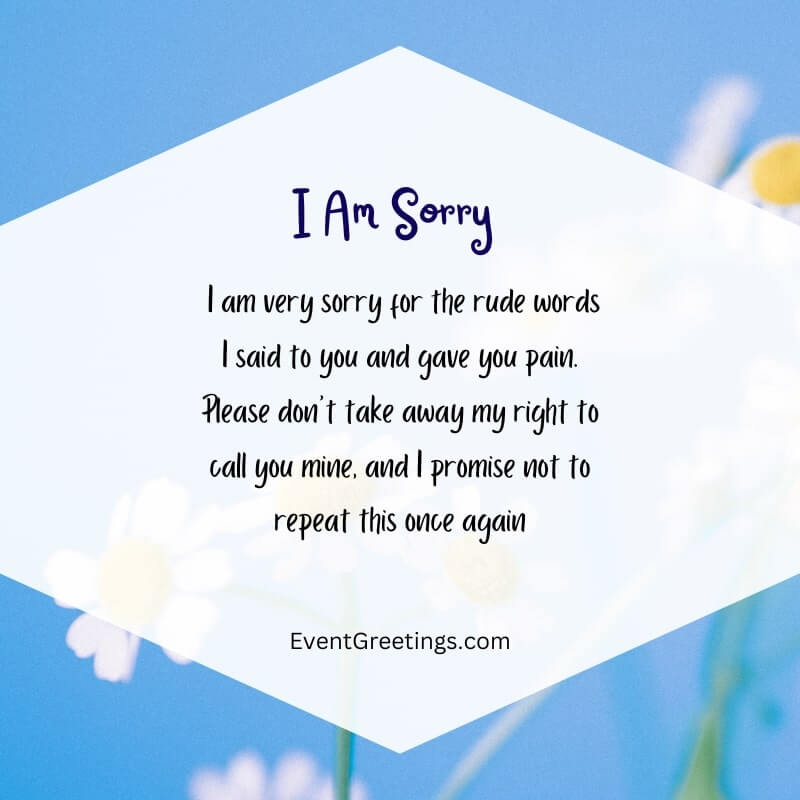 Long Heart-Touching Sorry Messages For Boyfriend