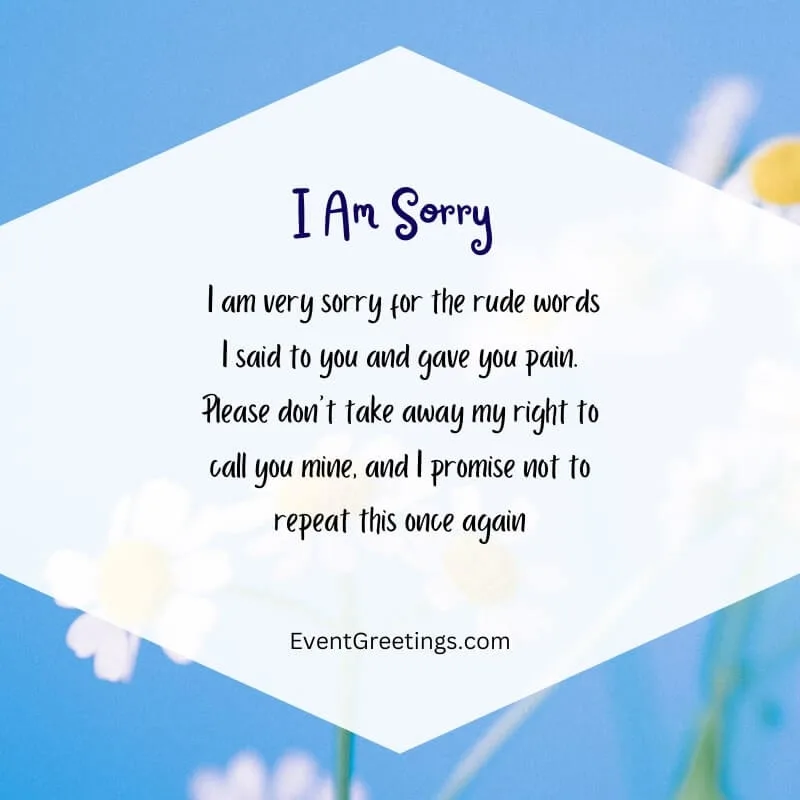 Long Heart-Touching Sorry Messages For Boyfriend